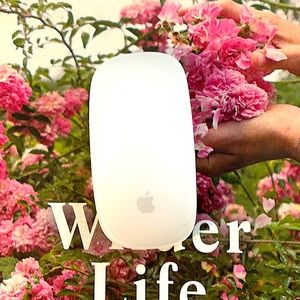 Apple Magic Mouse